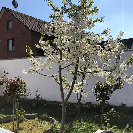 Apartamento Kleve-Kellen Kleve  Exterior foto