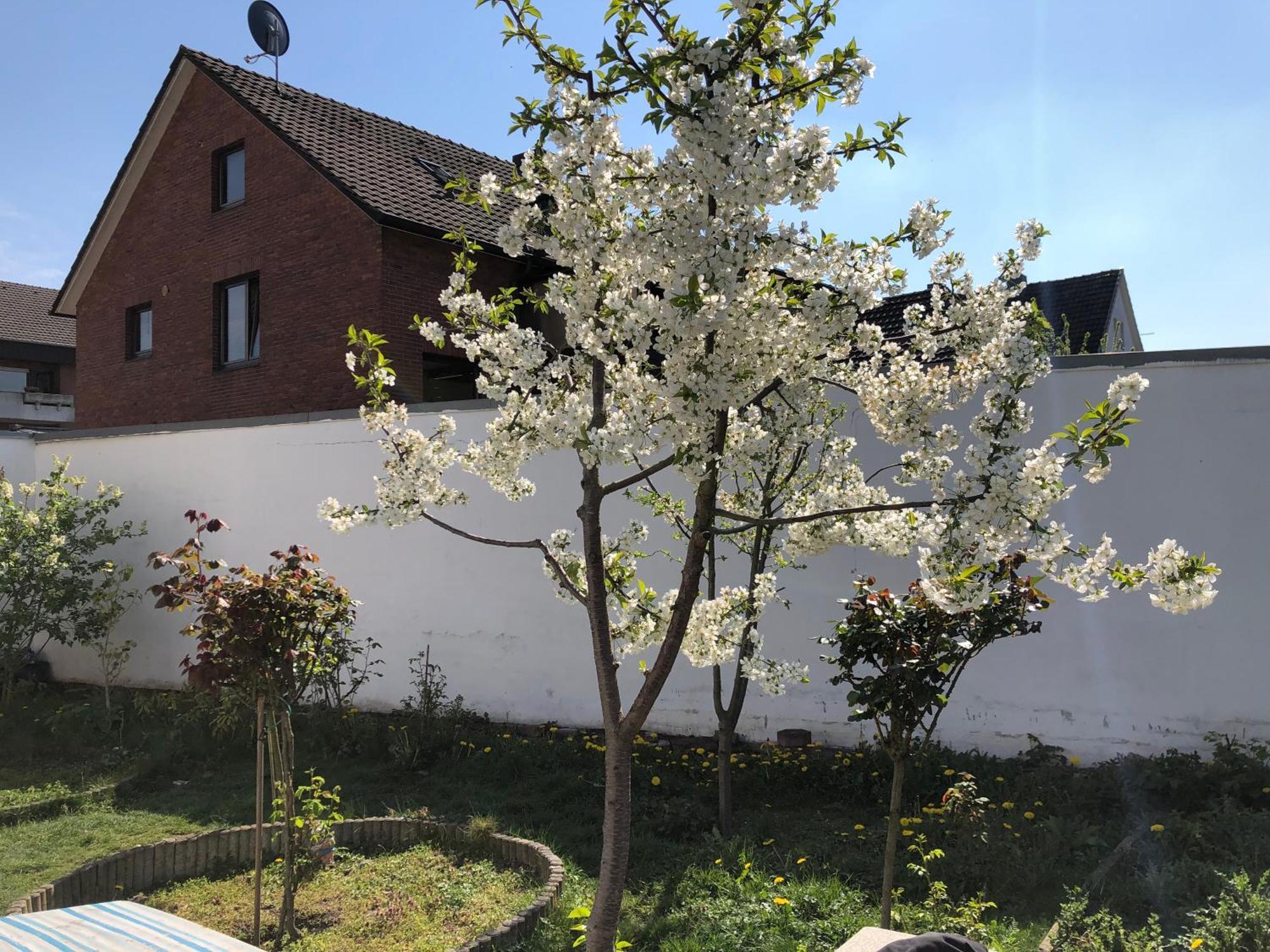 Apartamento Kleve-Kellen Kleve  Exterior foto